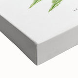 Athyrium Filix–Femina Lady Fern Print - Detailed Realism Botanical Art