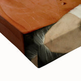 Portrait of a Cardinal by Raphael - Renaissance Art Print