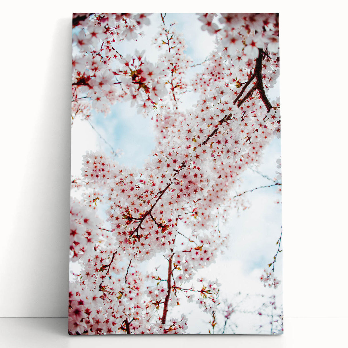 Large black and white stretched canvas depicting spring season, ideal for kitchen wall art or bedroom ambiance.