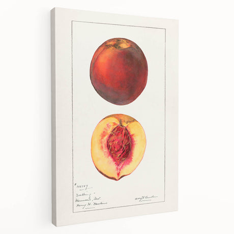 Large canvas print featuring a variety of vibrant colored fruits, ideal for kitchen wall art.