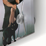 Retro Tina Turner Private Dancer Poster - Vintage Music Art