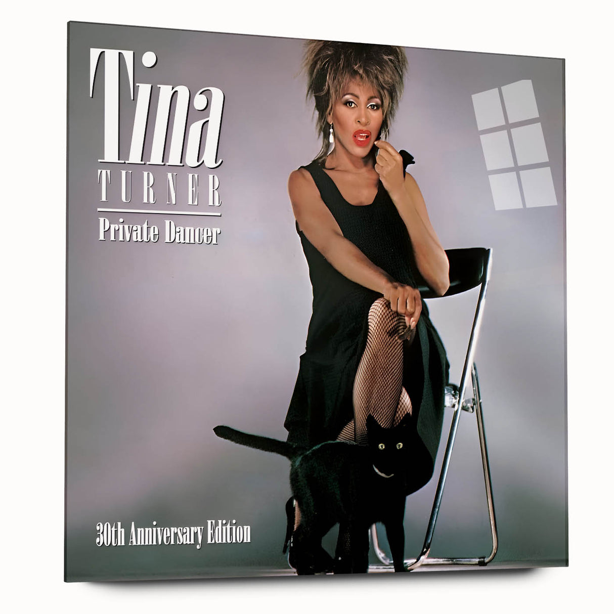 Retro Tina Turner Private Dancer Poster - Vintage Music Art