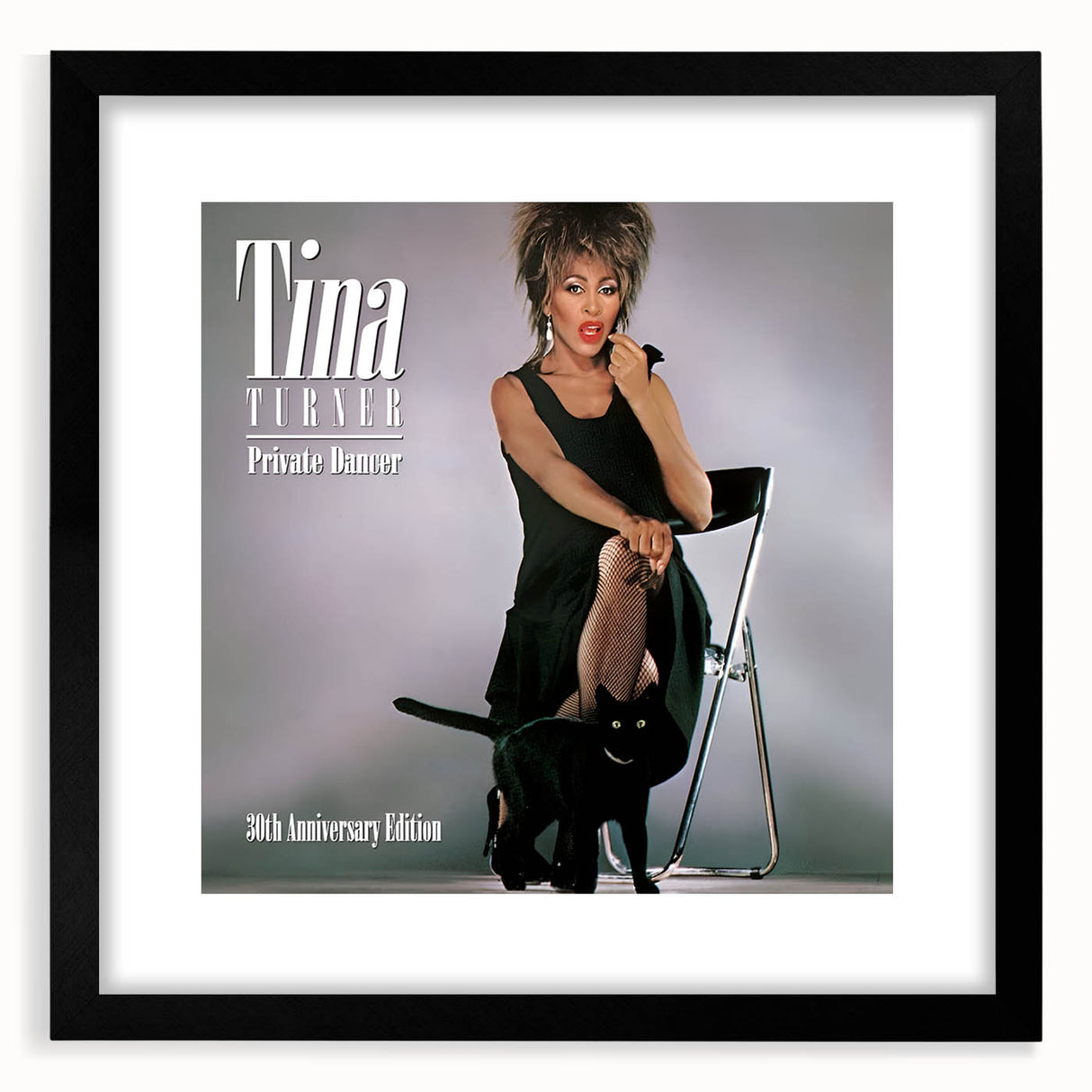 Retro Tina Turner Private Dancer Poster - Vintage Music Art