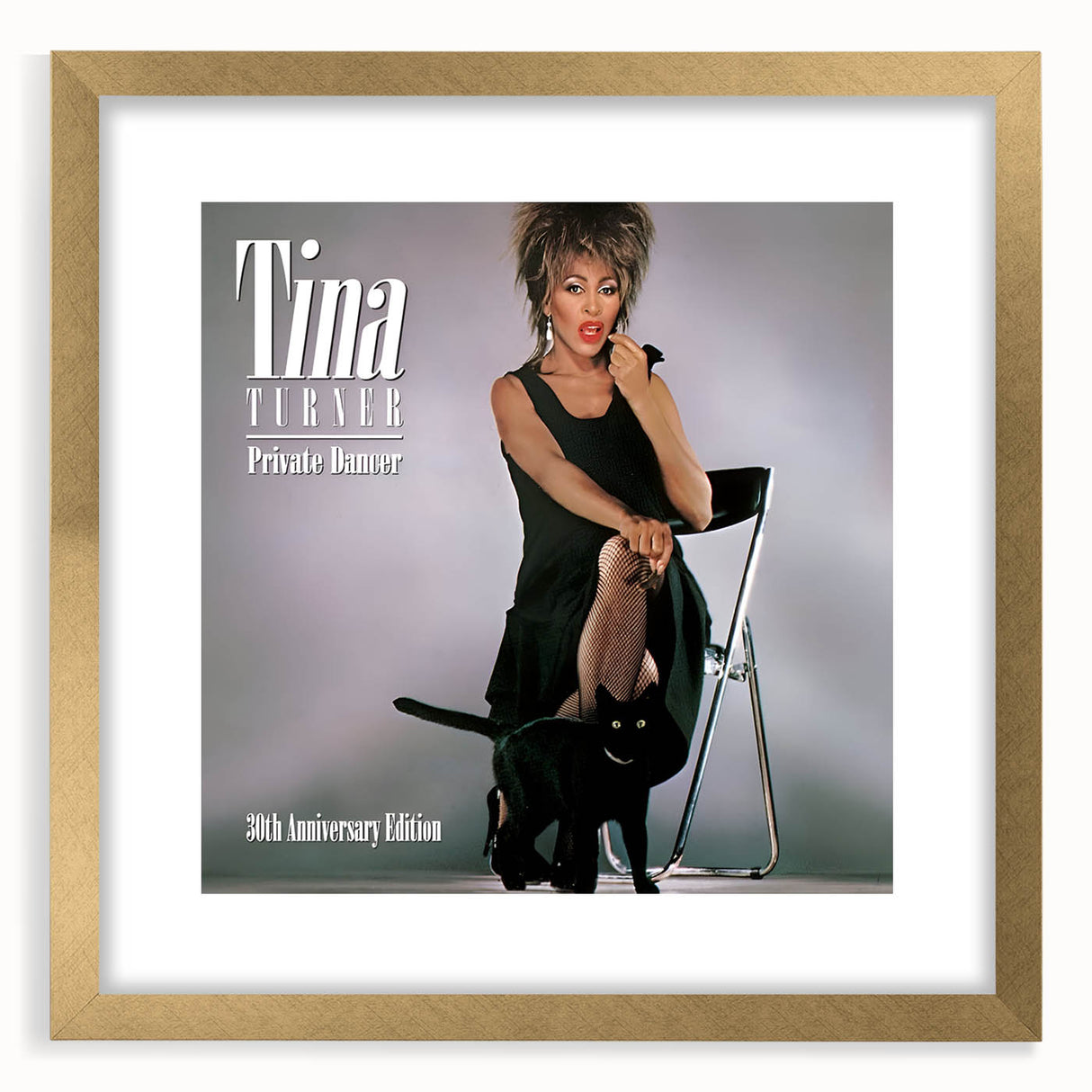 Retro Tina Turner Private Dancer Poster - Vintage Music Art