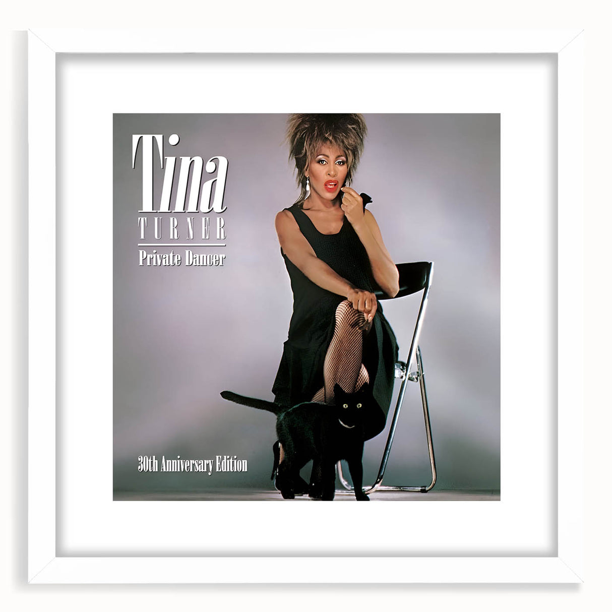 Retro Tina Turner Private Dancer Poster - Vintage Music Art