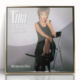 Retro Tina Turner Private Dancer Poster - Vintage Music Art