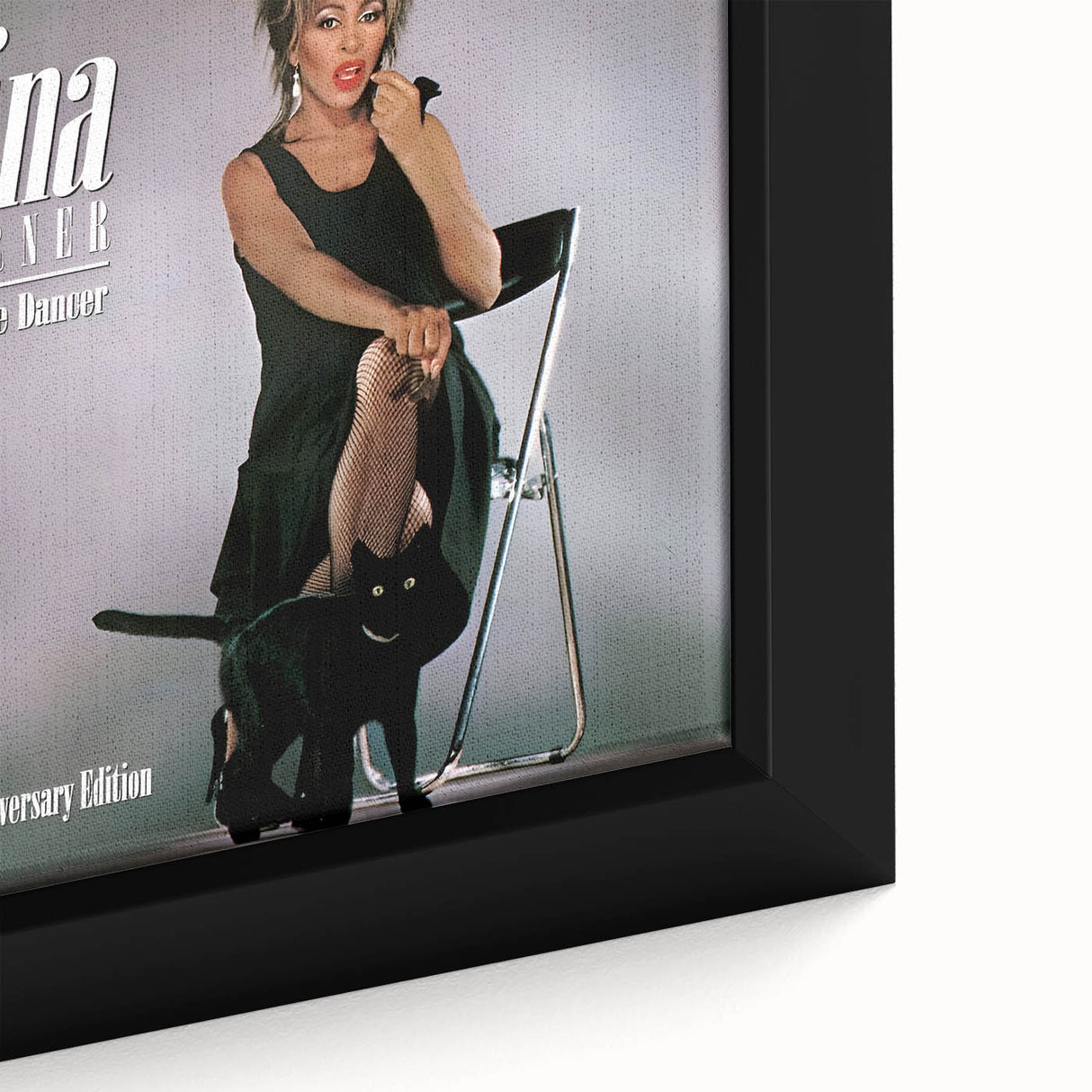 Retro Tina Turner Private Dancer Poster - Vintage Music Art