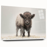 Adorable Baby Bison Wall Art - Perfect for Kids Room Decor
