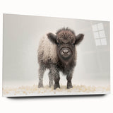 Adorable Baby Bison Wall Art - Perfect for Kids Room Decor