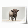 Adorable Baby Bison Wall Art - Perfect for Kids Room Decor