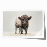 Adorable Baby Bison Wall Art - Perfect for Kids Room Decor