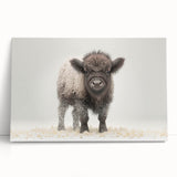 Adorable Baby Bison Wall Art - Perfect for Kids Room Decor