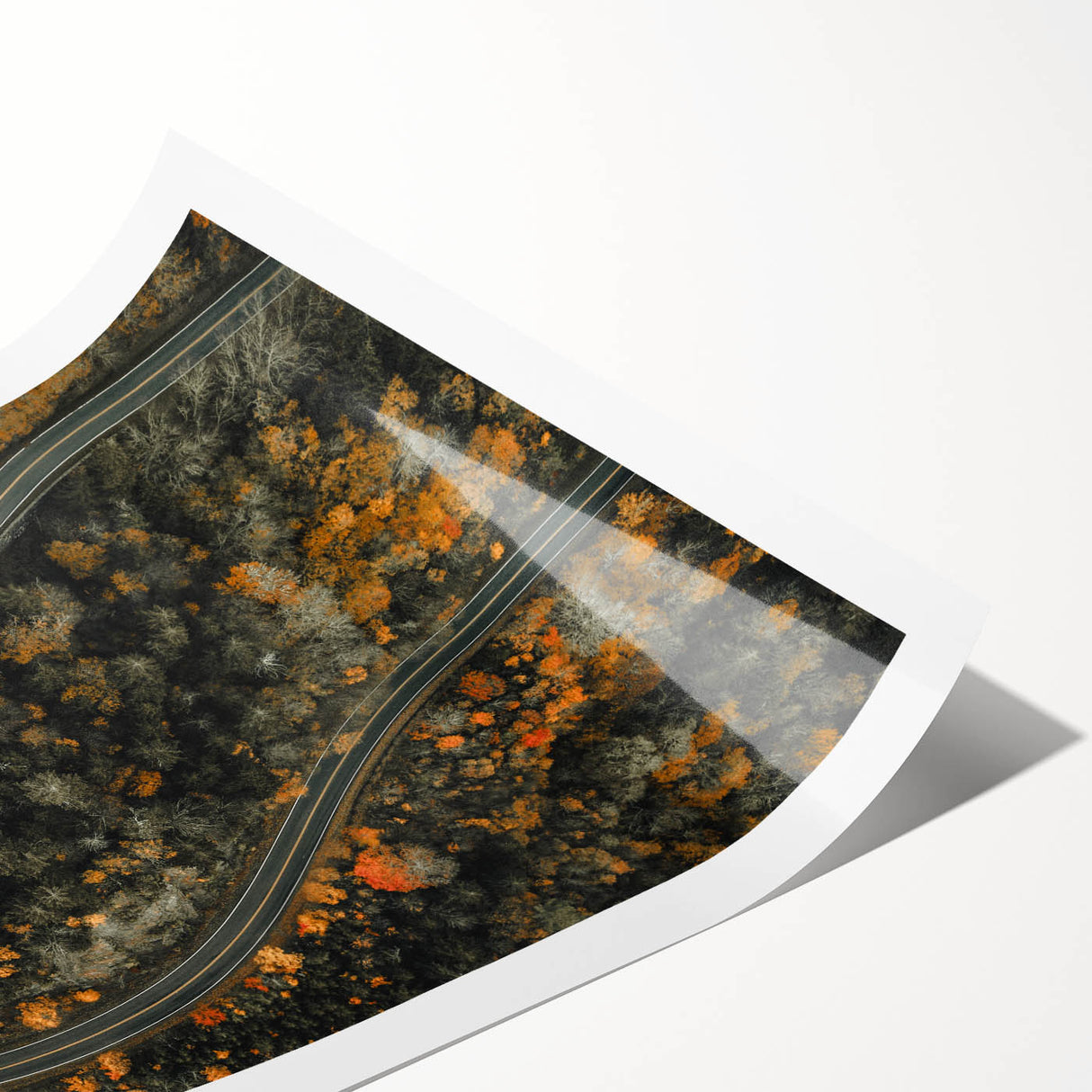 Extra large rolled print featuring line art flowers in muted autumnal tones, suitable for large living room wall art.