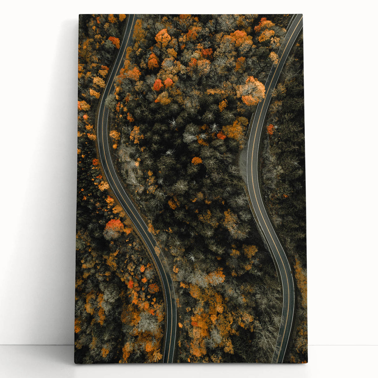 Large black and white abstract tree design on stretched canvas, ideal for kitchen wall art or bedroom ambiance.