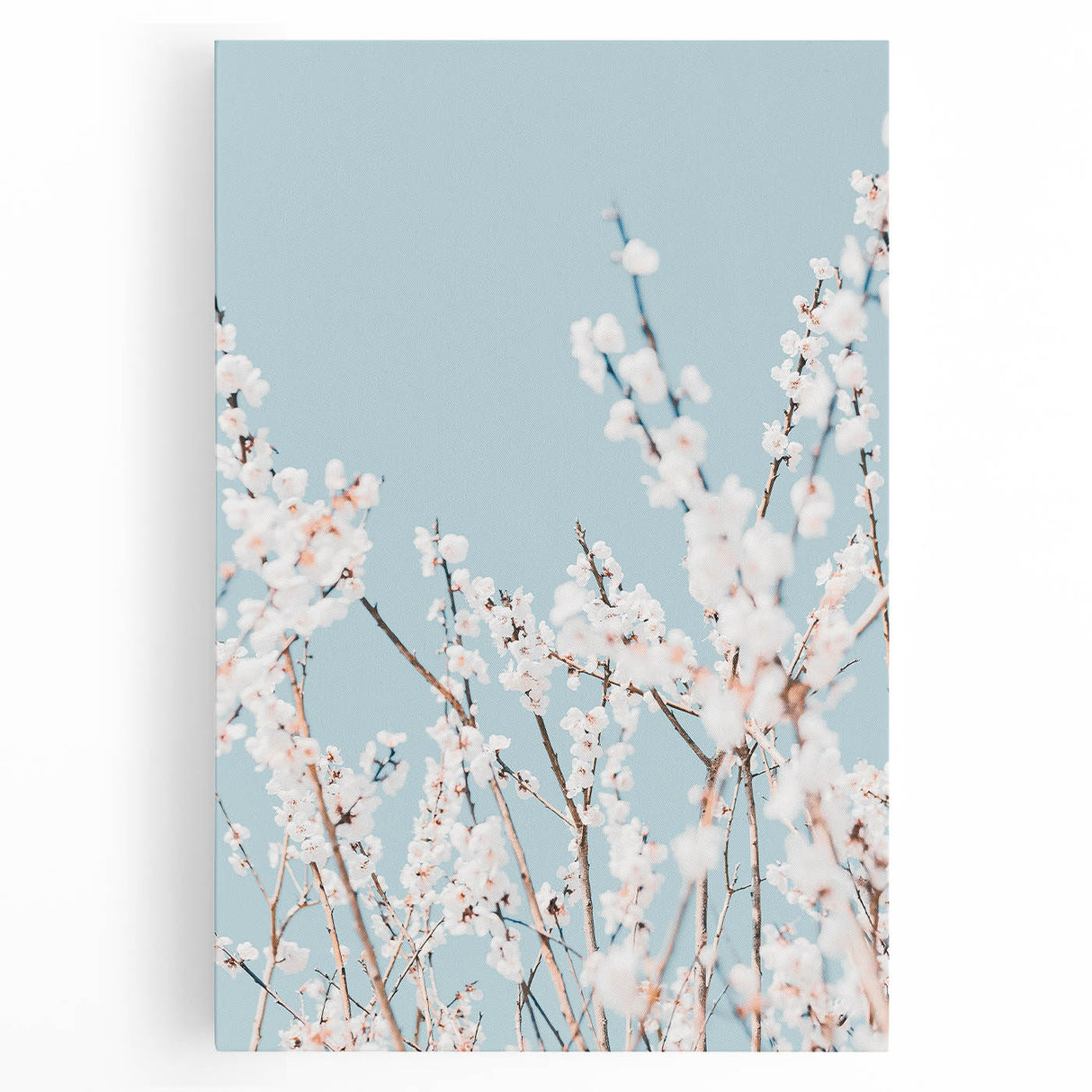 Black and white large art canvas of a spring tree, ideal for kitchen wall art.