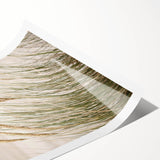 Extra large wall art featuring line art flowers in black on white, rolled print, ideal for large living room decor.