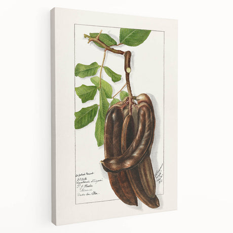 Large canvas art featuring an array of colorful fruits, ideal for kitchen wall decor.