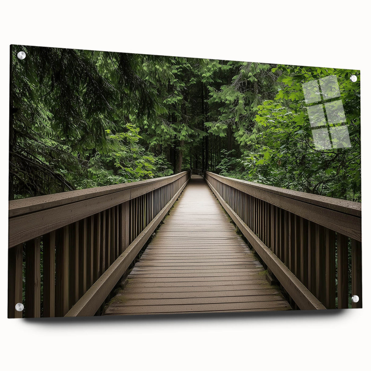 Acrylic glass landscape bridge design showcasing a modern architectural structure with visible pins, set against a neutral background to highlight its elegance and detail.