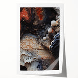 Extra large rolled print featuring close-ups of natural elements in muted earth tones, ideal for art wall dining room.