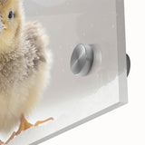 Adorable Baby Chick Wall Art - Perfect for Kids Room Decor