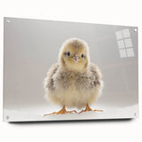 Adorable Baby Chick Wall Art - Perfect for Kids Room Decor