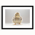 Adorable Baby Chick Wall Art - Perfect for Kids Room Decor