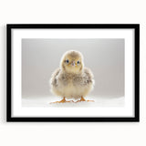 Adorable Baby Chick Wall Art - Perfect for Kids Room Decor