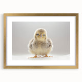 Adorable Baby Chick Wall Art - Perfect for Kids Room Decor