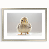 Adorable Baby Chick Wall Art - Perfect for Kids Room Decor