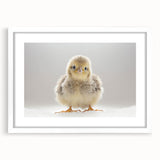 Adorable Baby Chick Wall Art - Perfect for Kids Room Decor