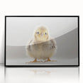 Adorable Baby Chick Wall Art - Perfect for Kids Room Decor