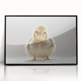 Adorable Baby Chick Wall Art - Perfect for Kids Room Decor