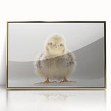 Adorable Baby Chick Wall Art - Perfect for Kids Room Decor