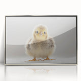 Adorable Baby Chick Wall Art - Perfect for Kids Room Decor
