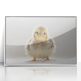 Adorable Baby Chick Wall Art - Perfect for Kids Room Decor