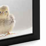 Adorable Baby Chick Wall Art - Perfect for Kids Room Decor