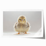 Adorable Baby Chick Wall Art - Perfect for Kids Room Decor