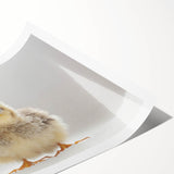 Adorable Baby Chick Wall Art - Perfect for Kids Room Decor