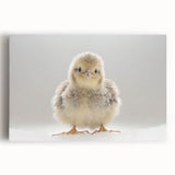 Adorable Baby Chick Wall Art - Perfect for Kids Room Decor