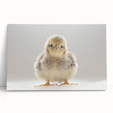 Adorable Baby Chick Wall Art - Perfect for Kids Room Decor