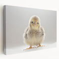 Adorable Baby Chick Wall Art - Perfect for Kids Room Decor