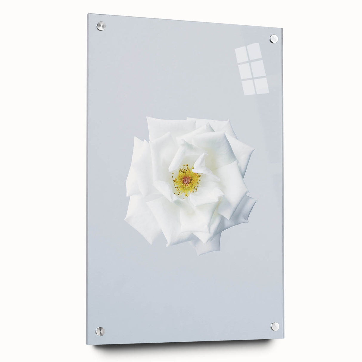 Large abstract wall art on acrylic glass depicting vibrant spring colors, ideal for bedroom or dining room decor.