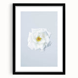 Extra large abstract art print with vibrant, colorful textures on black framed canvas, ideal for living room decor.