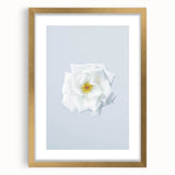 Extra large abstract art print with textured design in muted earth tones, framed in gold, ideal for living room decor.