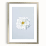 Textured art depicting abstract spring themes in soft green and white hues on a silver framed canvas.