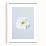 Abstract art print featuring swirling spring colors in pastel shades on a white framed canvas.