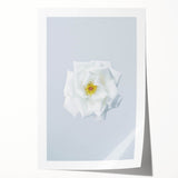 Rolled canvas print featuring a vibrant floral design in pastel hues.