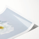 Extra large wall art featuring line art flowers in soft pastel shades on rolled canvas, ideal for large living room decor.