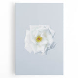 Black and white abstract design on large stretched canvas, suitable for kitchen wall art.