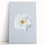 Large black and white abstract art on stretched canvas, depicting spring season, ideal for kitchen wall art or bedroom.